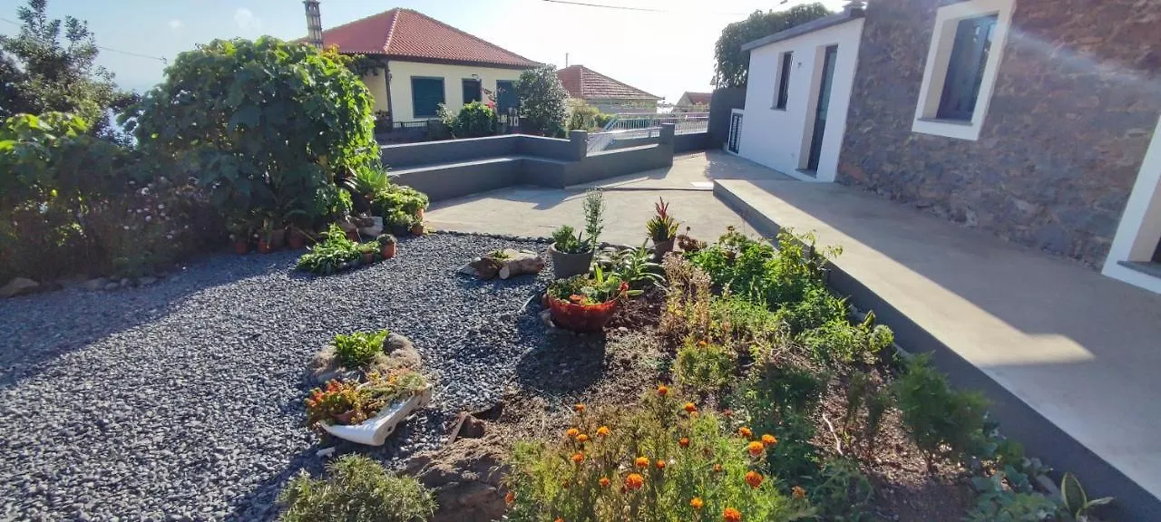 Casa Magic Vieira New Well Located With Services Арку-да-Кальета Апартаменты